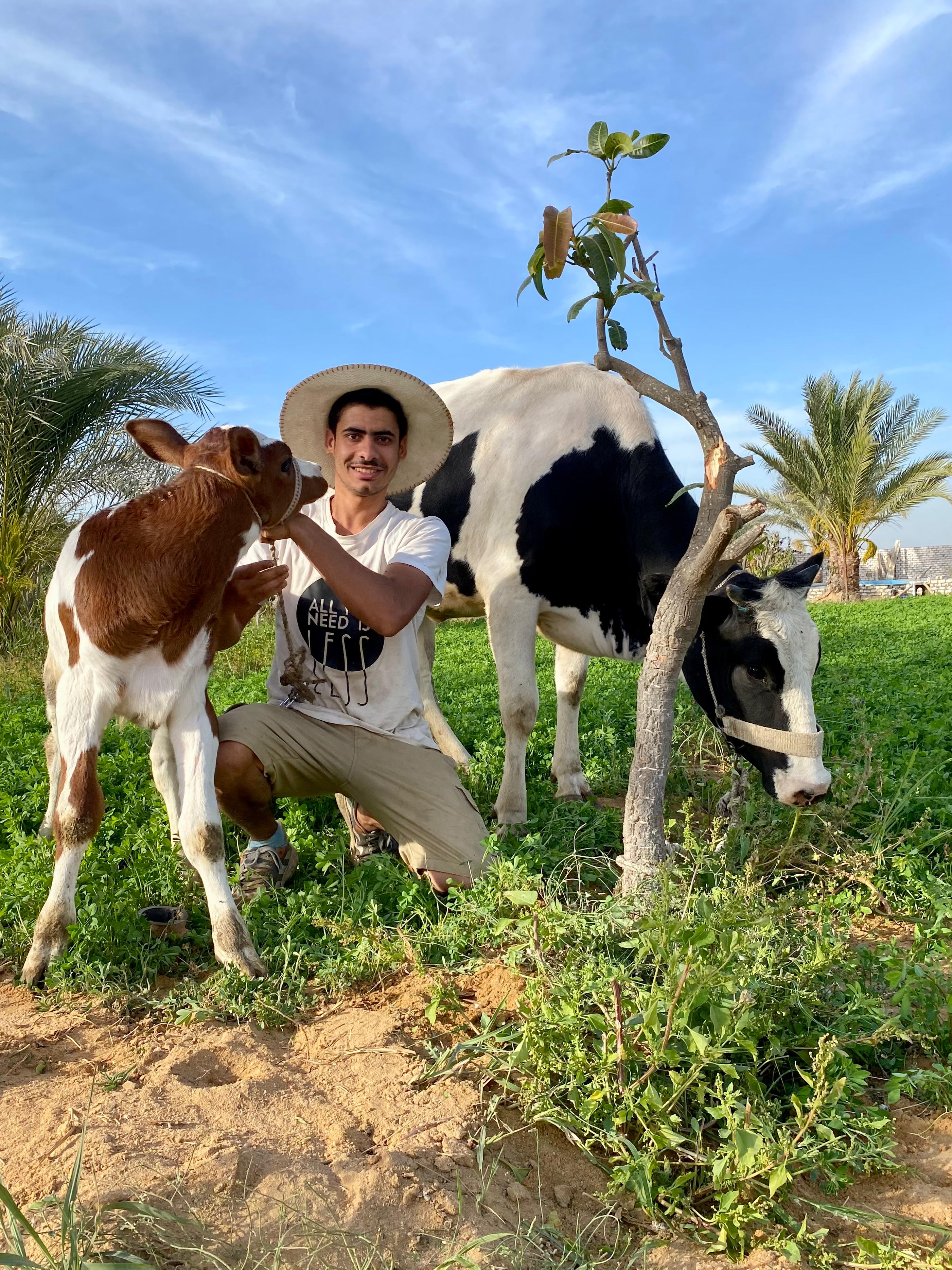 من سطح البيت إلى المزرعة.. أحمد السمالوسي يحوّل حلم الزراعة إلى مشروع حقيقي